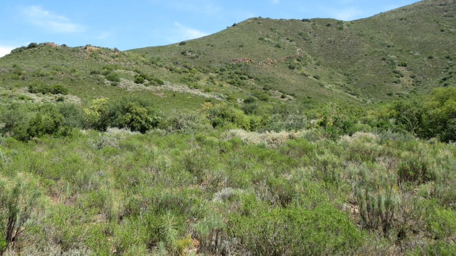 Commercial Property for Sale in Robertson Rural Western Cape